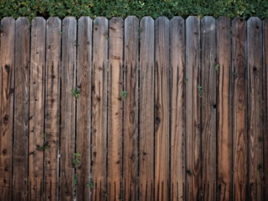 Top 10 Privacy Fence Ideas For Better Home Security