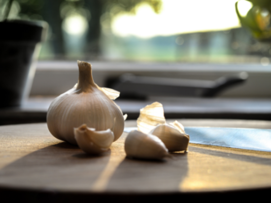 Why do you roast garlic unpeeled?