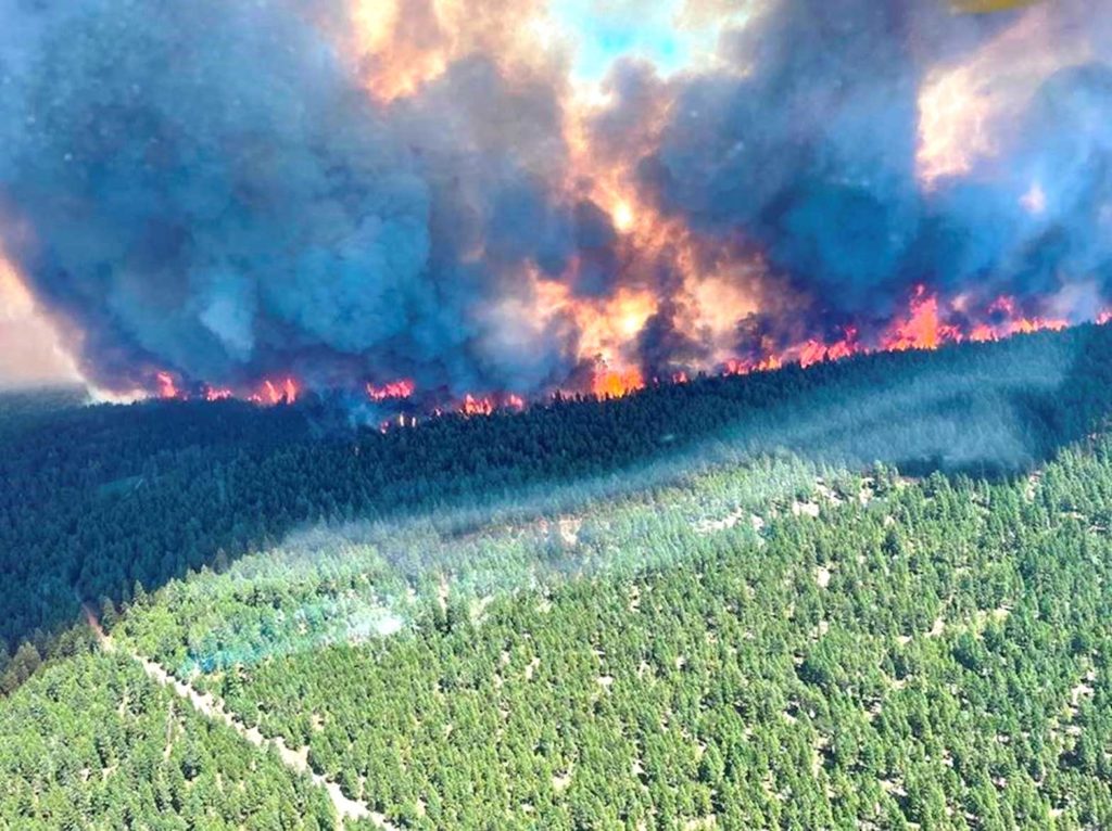 Smoke and flames are seen during the Sparks Lake wildfire at Thompson-Nicola Regional District, British Columbia, Canada, June 29, 2021, in this image obtained via social media. BC WILDFIRE SERVICE via REUTERS