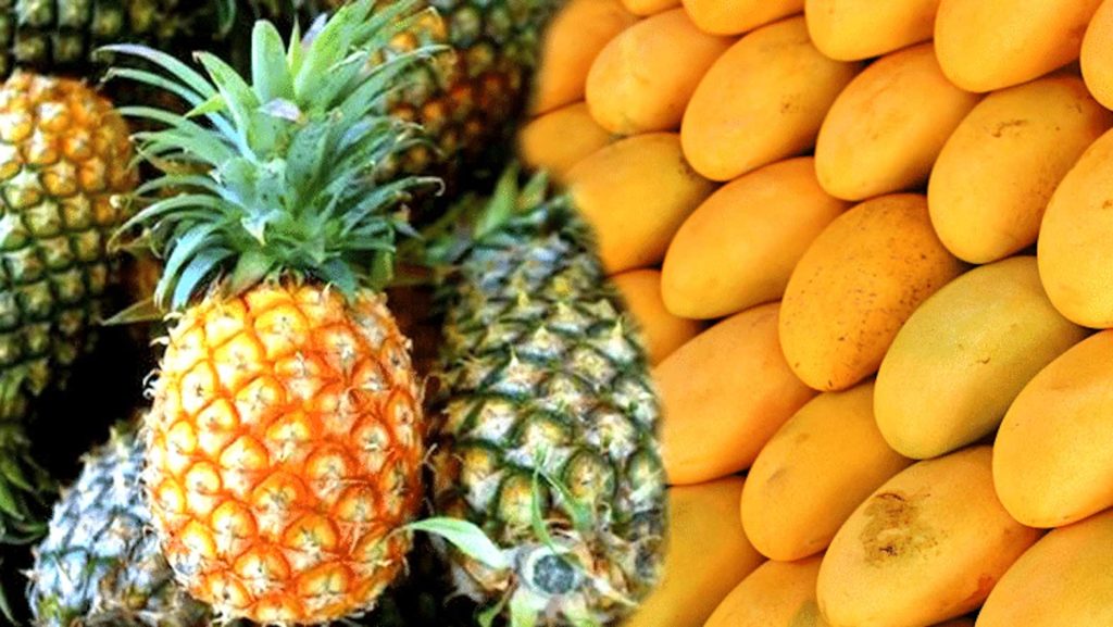 Philippine fresh pineapples and mangoes could soon pass through  more U.S. ports of entry. PH DA