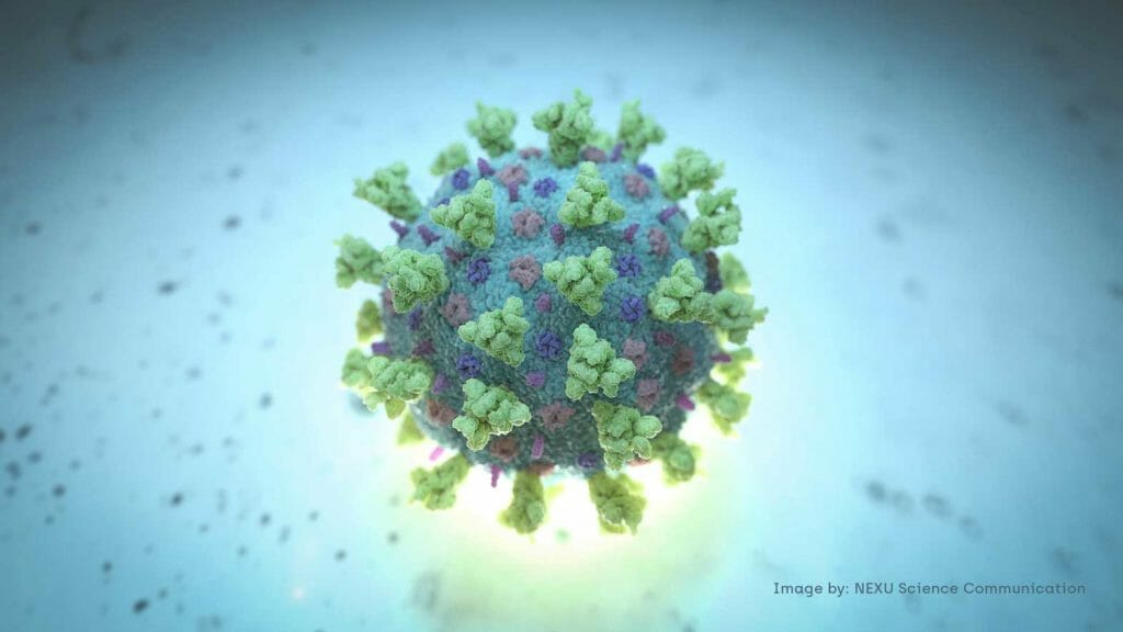 A computer image created by Nexu Science Communication together with Trinity College in Dublin, shows a model structurally representative of a betacoronavirus which is the type of virus linked to COVID-19, better known as the coronavirus linked to the Wuhan outbreak, shared with Reuters on February 18, 2020. NEXU Science Communication/via REUTERS