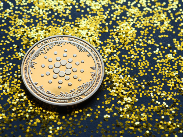 This is a Cardano (ADA) coin.
