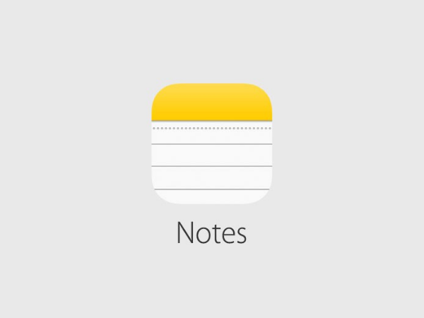 This is the Apple Notes app logo.