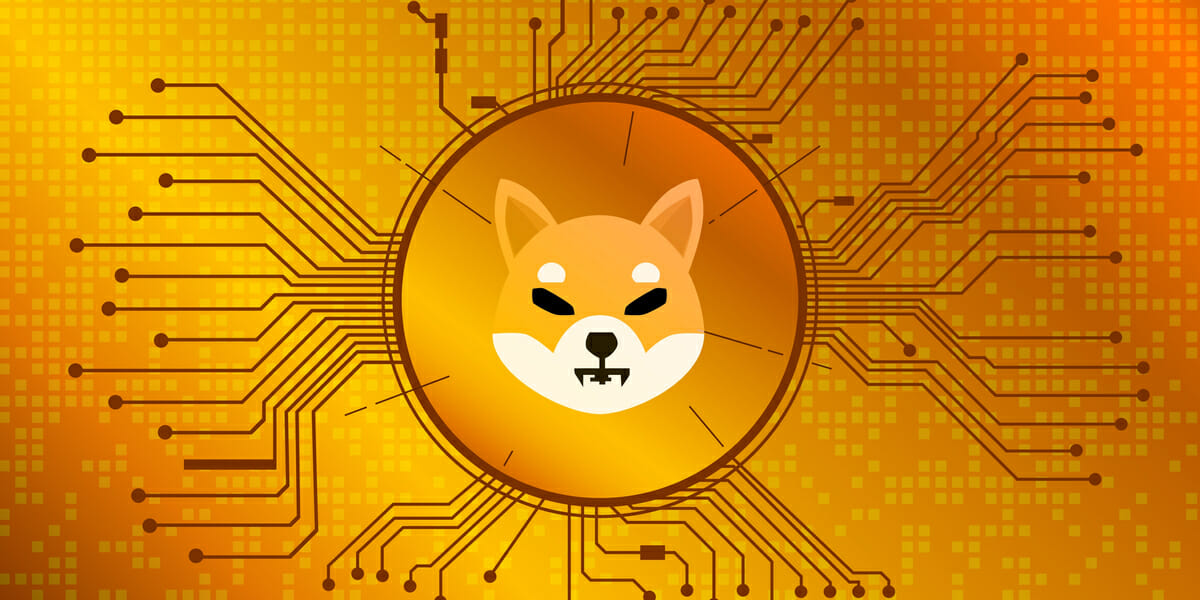 shib coin live price