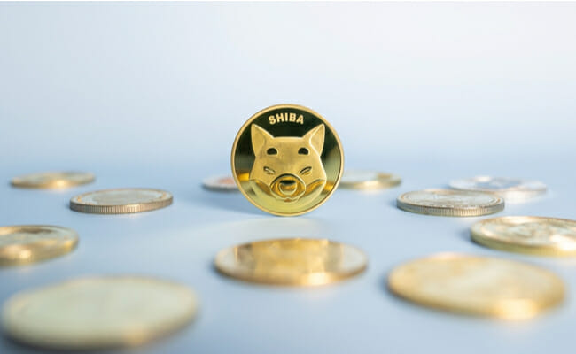 This is a SHIB coin.