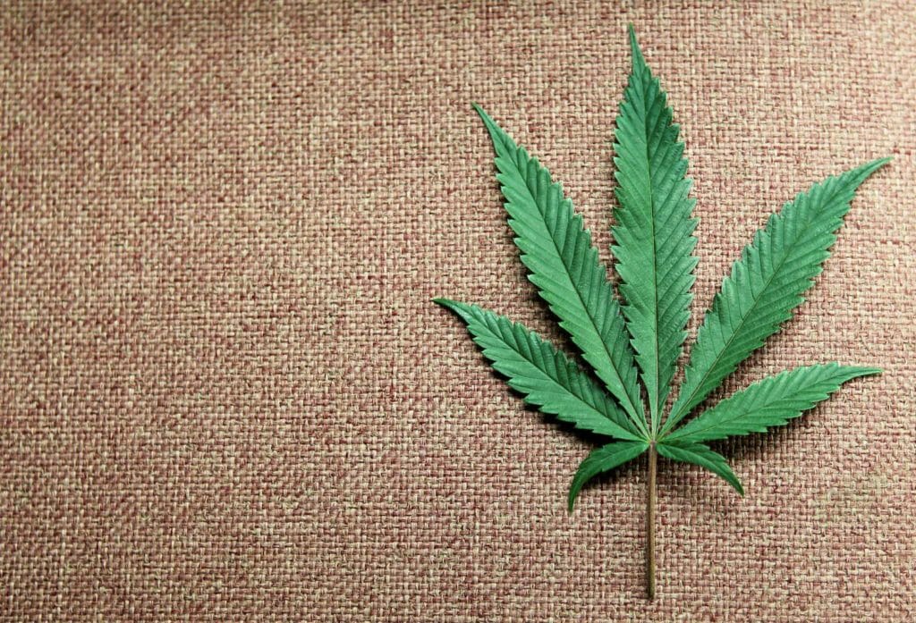  A marijuana leaf is displayed at Canna Pi medical marijuana dispensary in Seattle, Washington, November 27, 2012. REUTERS/Anthony Bolante/File Photo