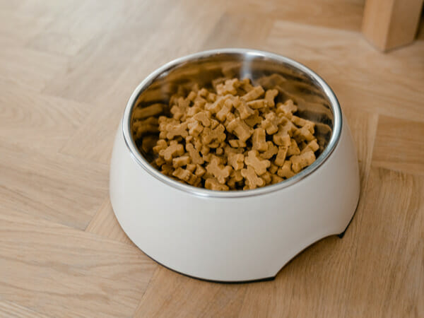 What ingredients should be in homemade dog food?