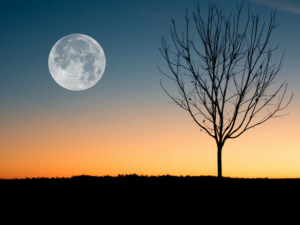 What are the benefits of moonlight water?