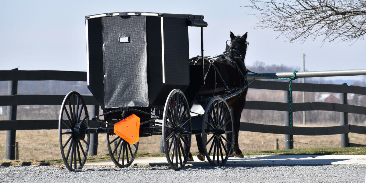 Do The Amish Pay Taxes? Here