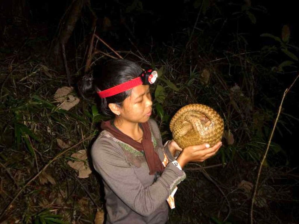 A wildlife rescuer with endangered pangolin. FLIPSCIENCE
