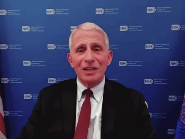 Fauci says it is time to start going back toward normality