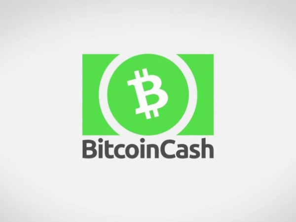 This is the Bitcoin Cash logo.