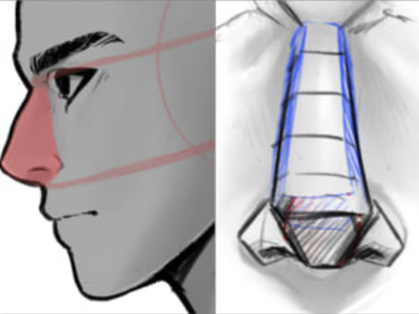 This shows how to draw anime nose.
