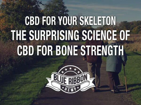 What Do Researchers Say About CBD For Bone Strength?