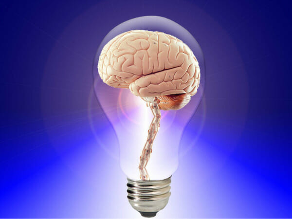 This is a human brain in a lightbulb.