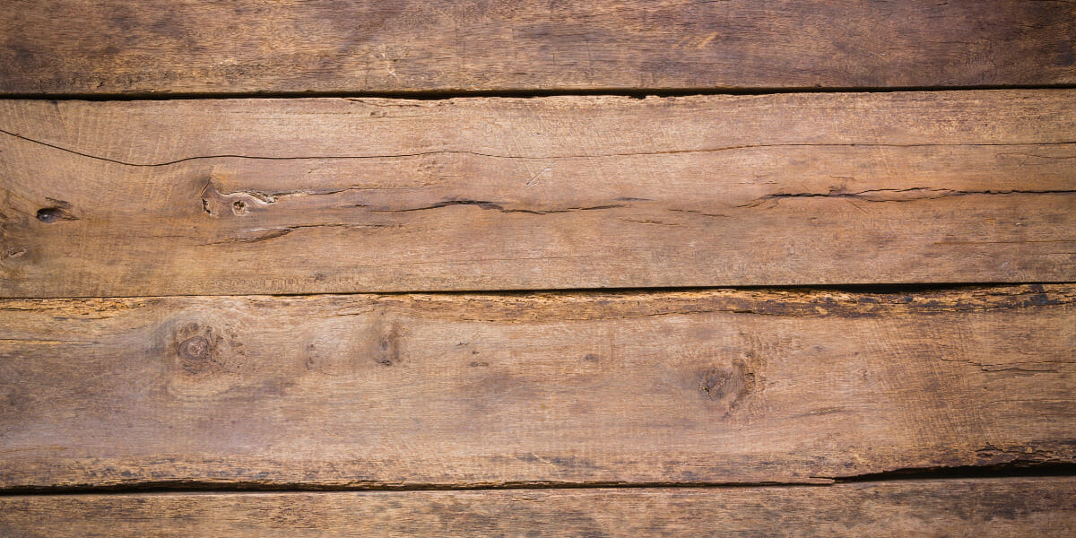 What is Poisonous Wood? How to Spot the Difference Inquirer