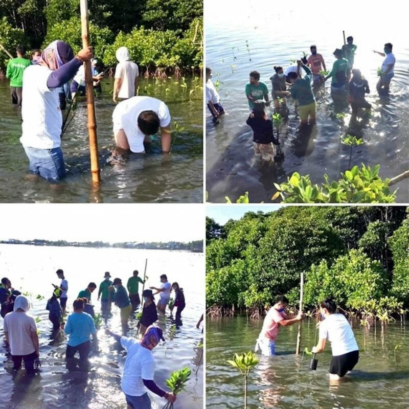 Protecting and conserving the environment by planting mangroves in the province of Pangasinan. CONTRIBUTED