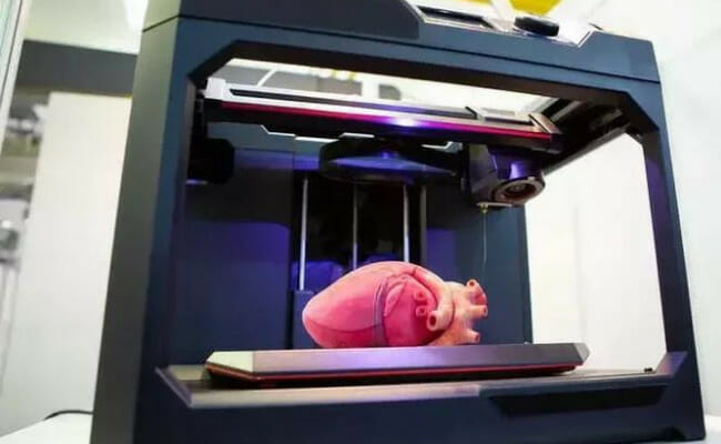 This is a 3D-printed replica of a heart.