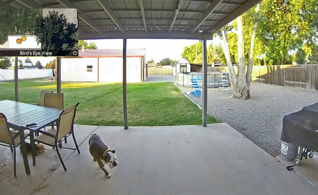 This is footage from a doorbell cam.