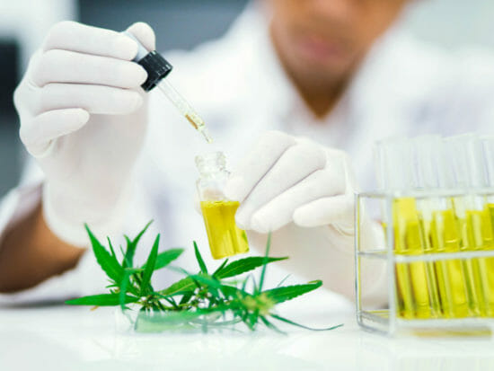 Which CBD Extraction Process Is Used?