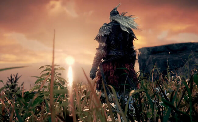 This is a screenshot from Elden Ring.