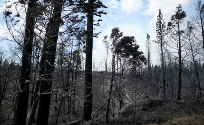 Firefighters start to control raging California wildfire near Yosemite