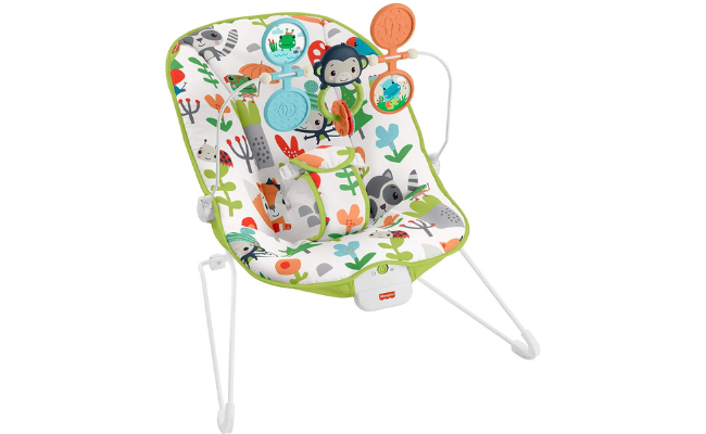 Fisher-Price Baby's Bouncer – Green, bouncing seat for soothing and play for newborns and infants