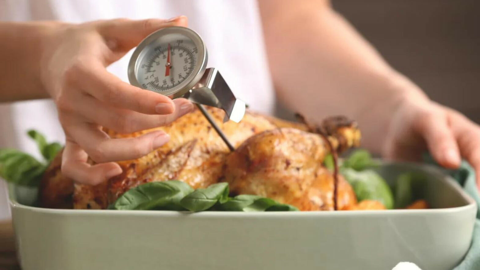 How to Use a Meat Thermometer USA