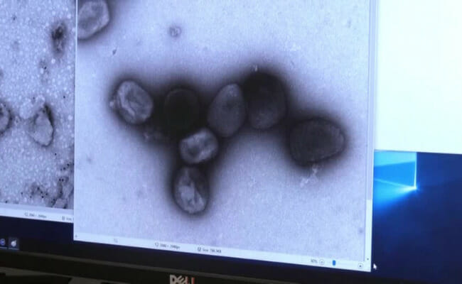 US declares monkeypox epidemic a public health emergency