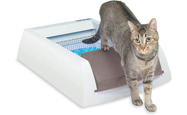 PetSafe ScoopFree Original Automatic Self-Cleaning Cat Litter Boxes - Purple or Taupe - Ultra with Health Counter - Includes Disposable Litter Tray with 4.5 lb Premium Blue Crystal Cat Litter