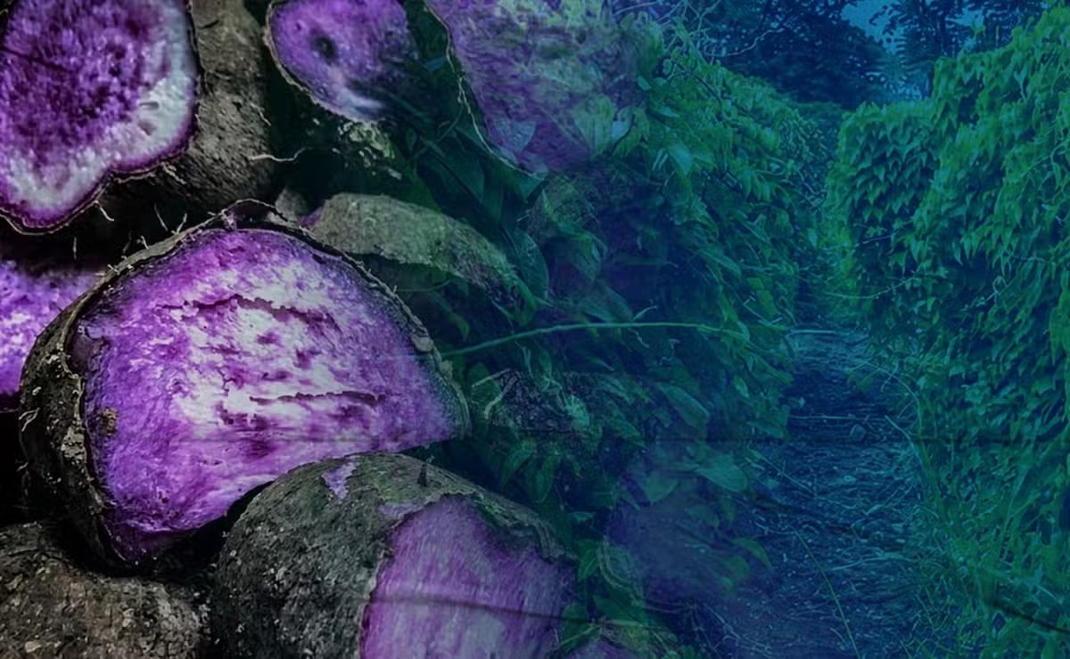 Ube