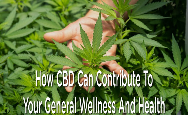How CBD Can Contribute To Your General Wellness And Health