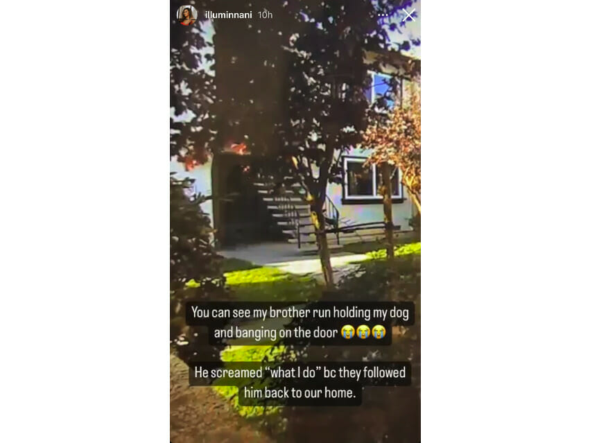 Nina Leslie's additional Instagram story depicting another angle of the incident.