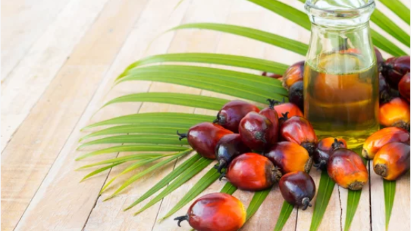 Is Palm Oil Really Bad For You? I Lifestyle