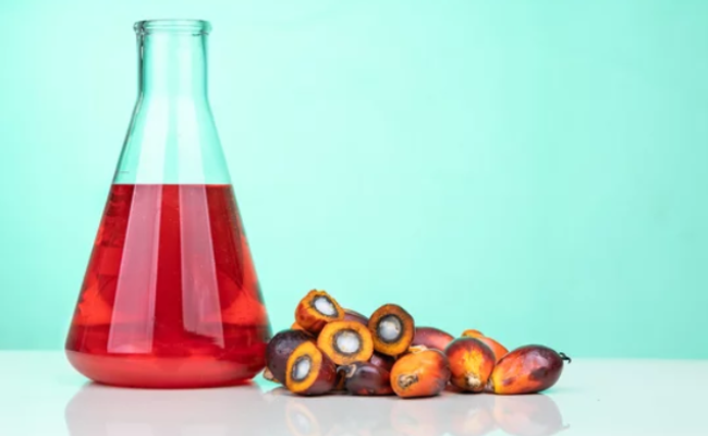 The Downsides of Palm Oil