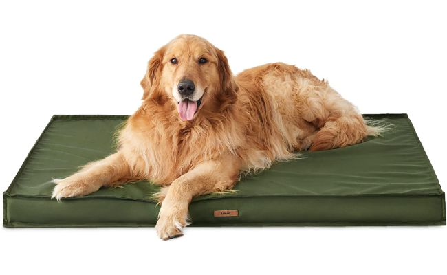 Lesure Water-Resistant Dog Beds for Large Dogs - Outdoor Dog Bed Washable with Oxford Fabric Surface, Large Egg Orthopedic Foam Pet Bed with Removable and Durable Cover, Machine Washable