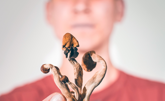 Magic mushroom compound looks promising as depression treatment