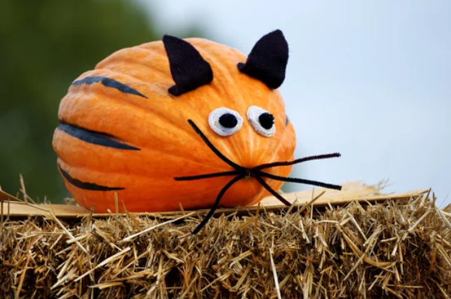 Why was the jack-o-lantern scared to cross the road? 