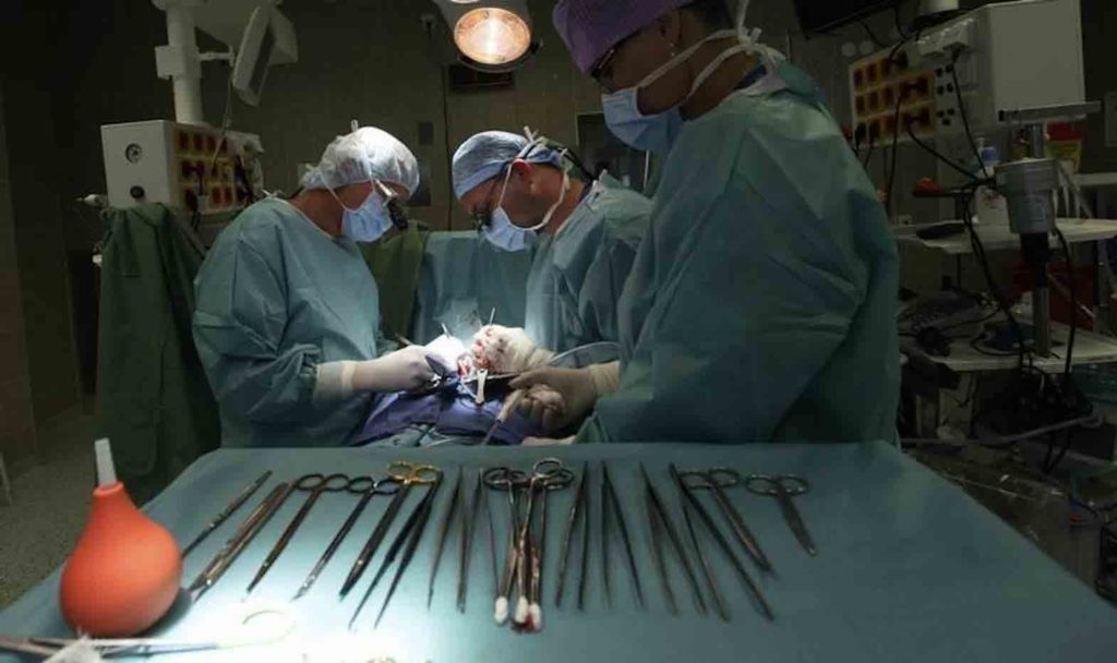 Doctors performing a heart surgery. REUTERS/Petr Josek