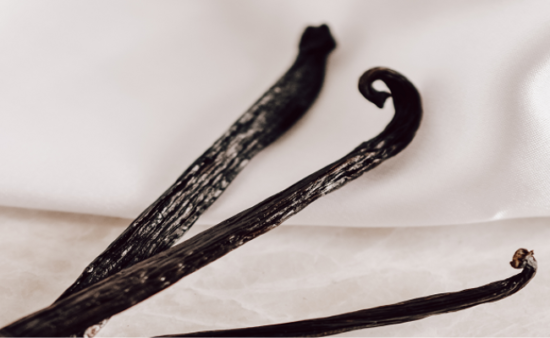 French Vanilla vs. Vanilla: What&rsquo;s the Difference? I Lifestyle