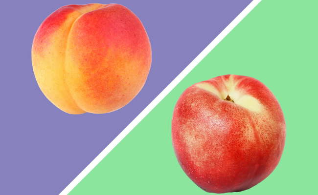 Nectarine vs. Peach
