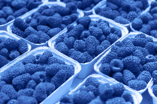 Is Blue Raspberry Real? Everything You Need to Know