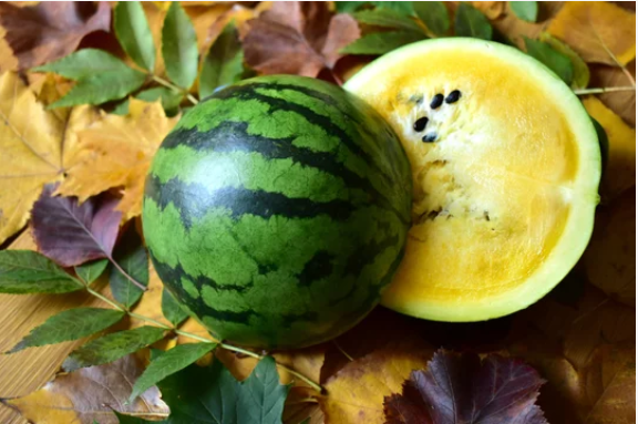 What is a Yellow Watermelon? 