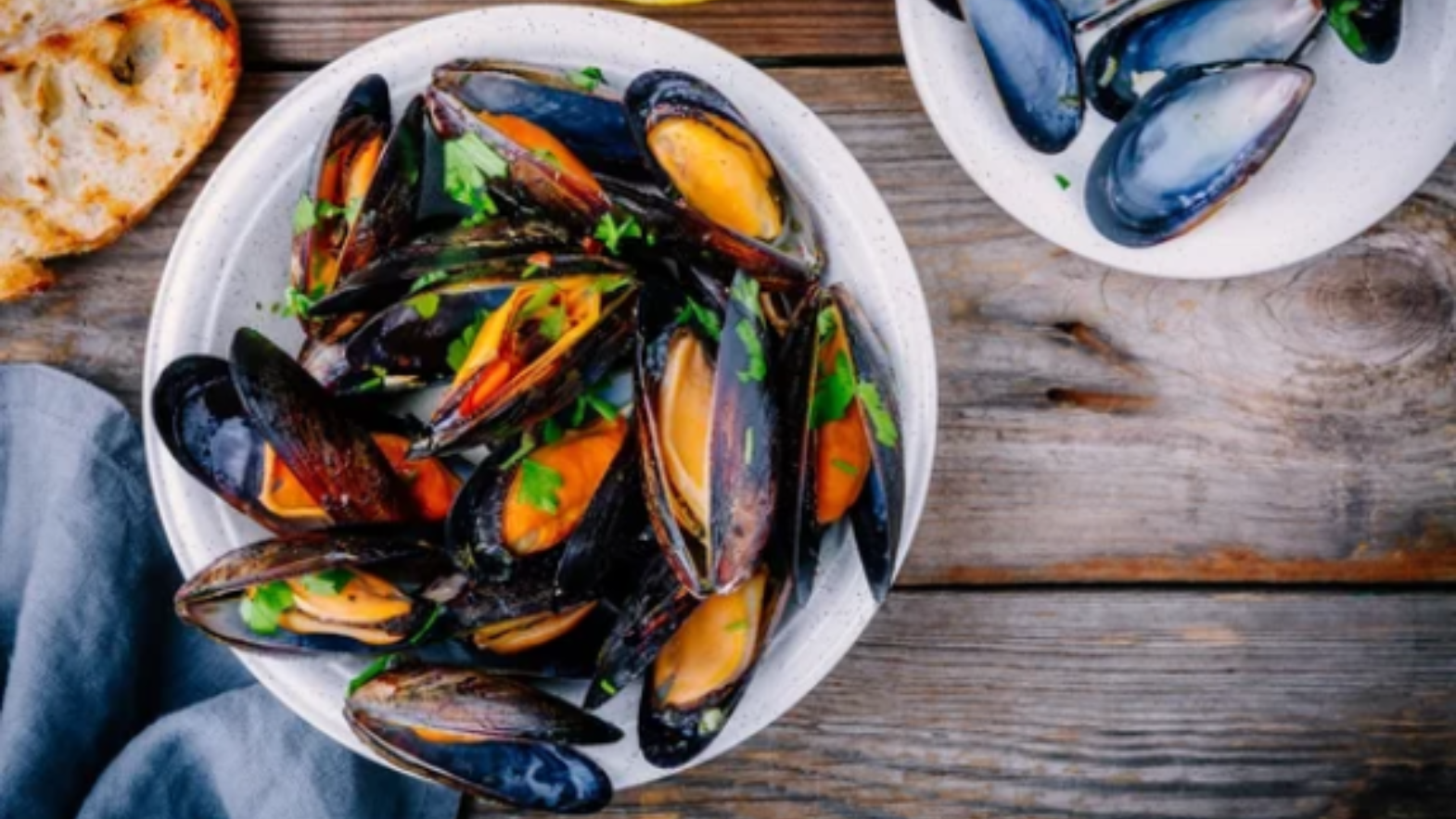 Clams vs. Mussels What's the Difference? I Lifestyle