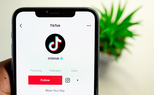 TikTok CEO to testify on US Congress over security issues