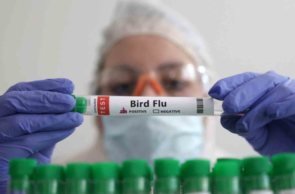 A person holds a test tube labelled "Bird Flu", in this picture illustration, January 14, 2023. REUTERS/Dado Ruvic/Illustration