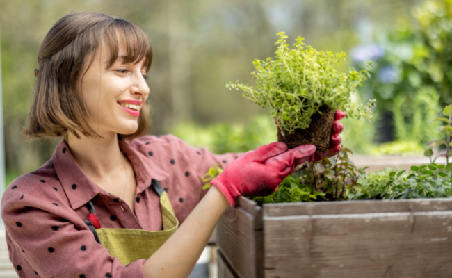 Choosing the Right Herbs for Your Garden