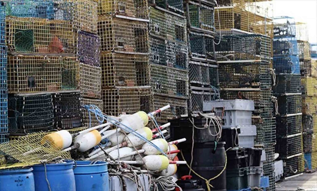  TFWs in New Brunswick's seafood processing industry face “threats, long hours, overcrowded accommodations, low pay and unsafe working conditions, amid the Covid pandemic,” the study found. DAL.CA