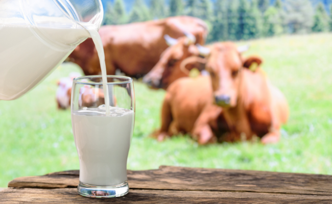 Environmental Benefits of Drinking Pure and Natural Milk