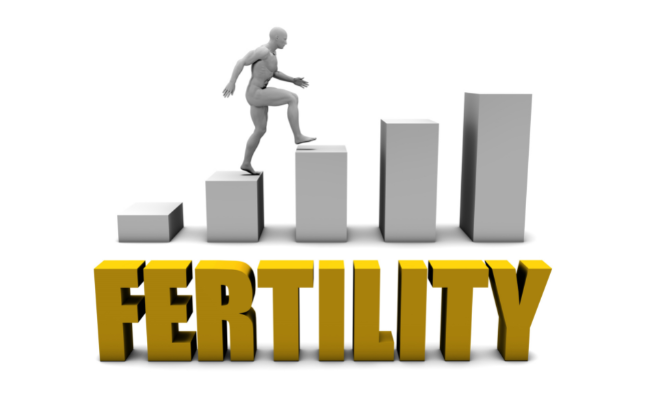 Other Factors That Affect Fertility